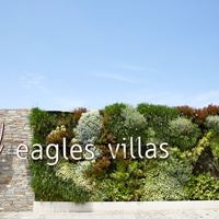 Informații generale preview