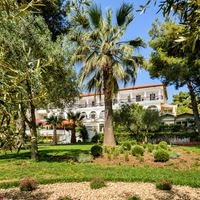 Informații generale preview