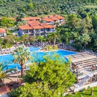 Informații generale preview