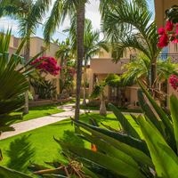 Informații generale preview