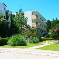 Informații generale preview