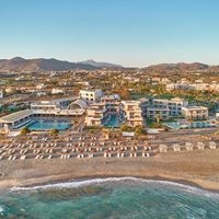 Informații generale preview