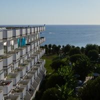 Informații generale preview