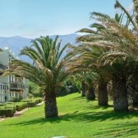 Informații generale preview