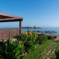 Informații generale preview