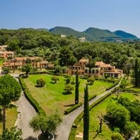 Informații generale preview