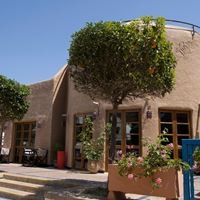 Informații generale preview