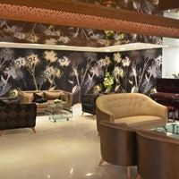 Informații generale preview