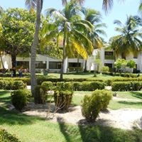 Informații generale preview