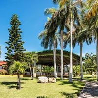 Informații generale preview