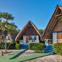 Informații generale preview