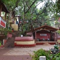 Informații generale preview