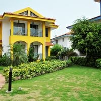 Informații generale preview