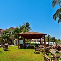 Informații generale preview