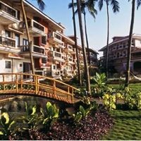 Informații generale preview