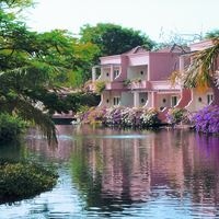 Informații generale preview