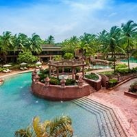 Informații generale preview