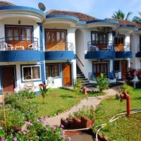 Informații generale preview