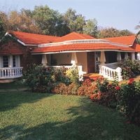 Informații generale preview