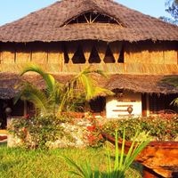 Informații generale preview