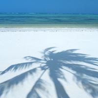 Informații generale preview