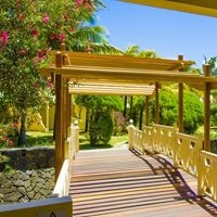 Informații generale preview