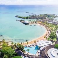 Informații generale preview