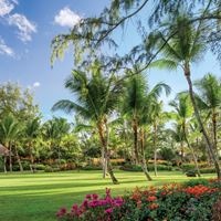 Informații generale preview