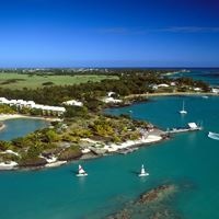 Informații generale preview