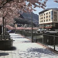 Informații generale preview