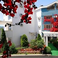 Informații generale preview