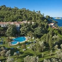 Informații generale preview