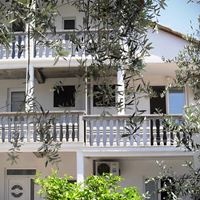 Informații generale preview