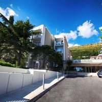 Informații generale preview