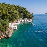 Informații generale preview