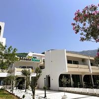 Informații generale preview