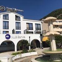 Informații generale preview