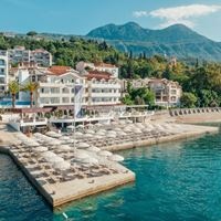 Informații generale preview