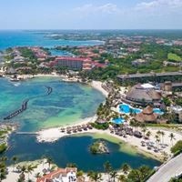 Informații generale preview