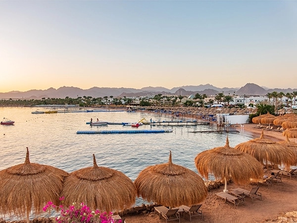 Cele mai bune hoteluri Sharm el Sheikh