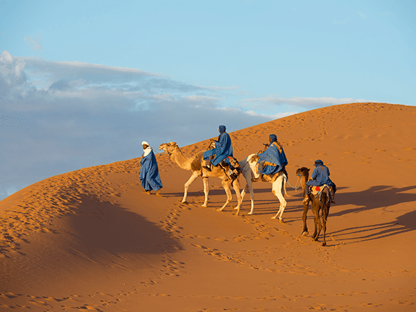De ce sa alegi o vacanta in Tunisia anul acesta?