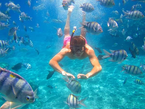 Unde faci snorkeling și scufundări în Egipt: cele mai impresionante locuri de explorat
