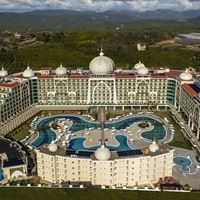 Informații generale preview