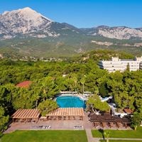 Informații generale preview