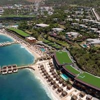 Informații generale preview