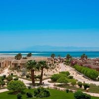 Informații generale preview